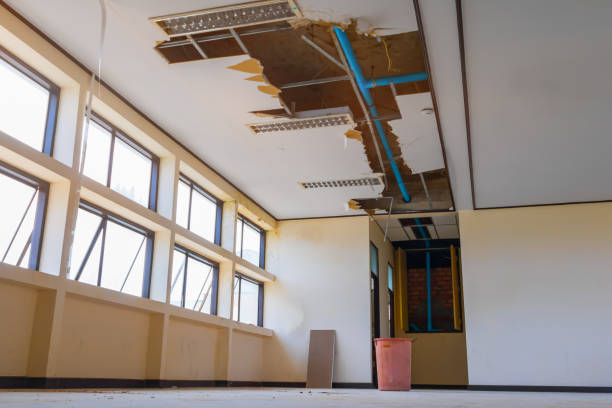Best Water damage cleanup near me  in Pampa, TX