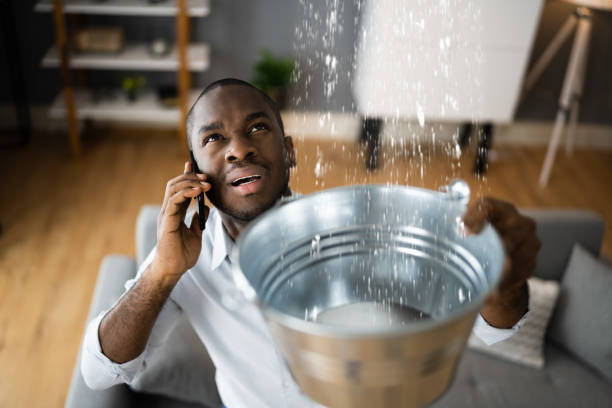 Best Flood restoration services  in Pampa, TX
