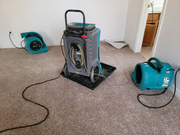 Best Water damage mitigation services  in Pampa, TX