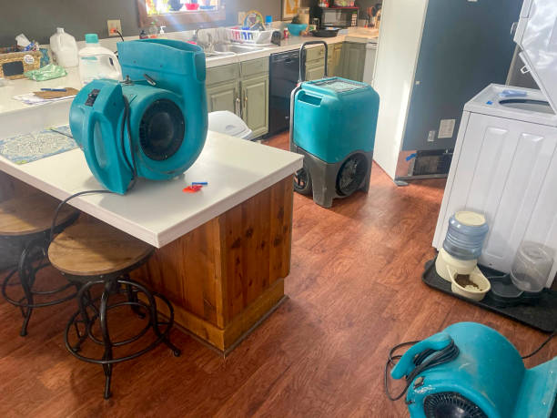 Best Residential water damage restoration  in Pampa, TX