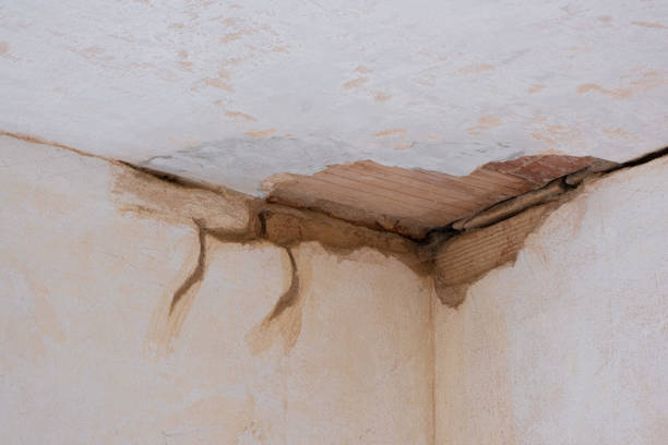 Best Emergency water damage restoration  in Pampa, TX