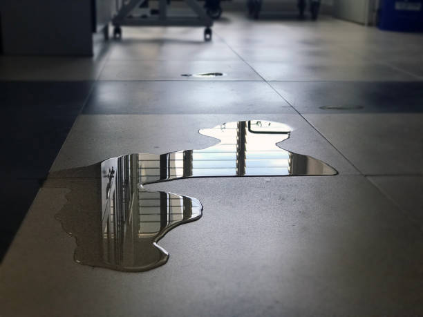 Best Professional water damage repair  in Pampa, TX